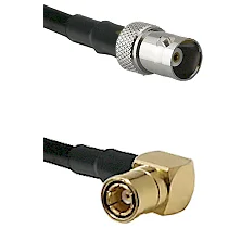 fieldcomponents202607191319232442899