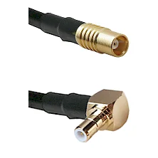 fieldcomponents202607191321272443399