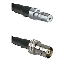 fieldcomponents202607191326042444492