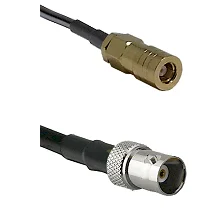 fieldcomponents202607191327142444785