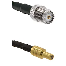 fieldcomponents202607191437552459354