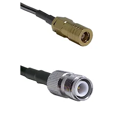 fieldcomponents202607191502582464974
