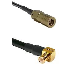 fieldcomponents202607191503512465181