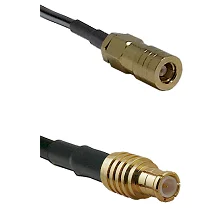 fieldcomponents202607191503512465183