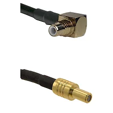 fieldcomponents202607191523142469624