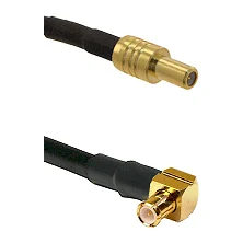 fieldcomponents202607191601262478455