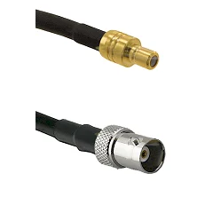 fieldcomponents202607191742432503329