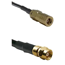 fieldcomponents202607191805492509964