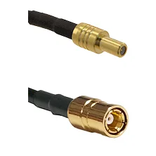 fieldcomponents202607191854242524276