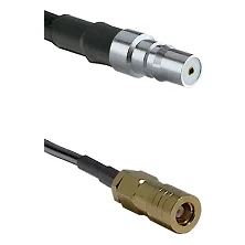 fieldcomponents202607191907352528173