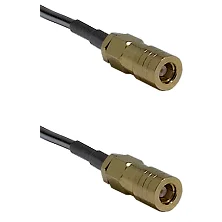 fieldcomponents202607191907522528278