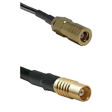 fieldcomponents202607191908522528616