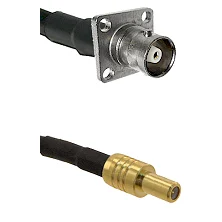 fieldcomponents202607191919372531958