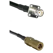 fieldcomponents202607191922072532767