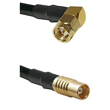 fieldcomponents202607191948312539781