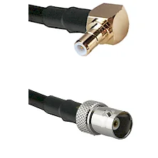 fieldcomponents202607191949422540066