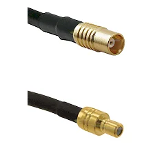 fieldcomponents202607192053012551303