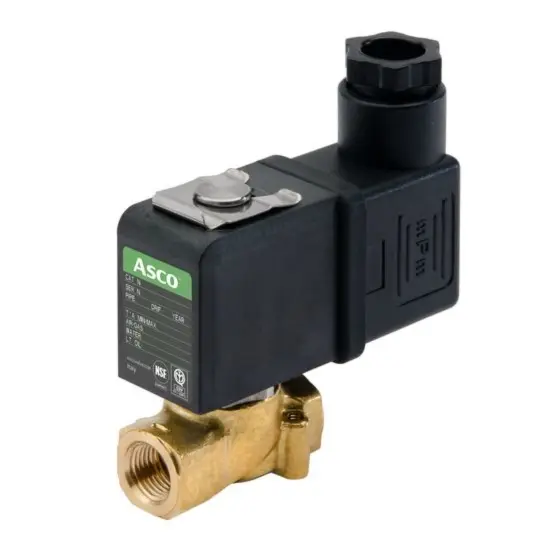 niscoinc-5202607181714442140034