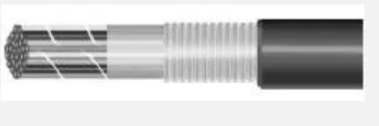 prowireandcable202607172020251857983