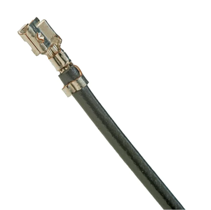 rsdelivers-1202607171841431837250